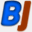 bjbison.com
