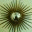 blastedgoat.wordpress.com