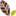 terredemotion.be