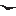 polipeli.com