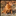 bedgebrookgundogs.co.uk