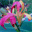 ernel29.over-blog.com