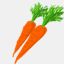 carrotpatch.us