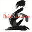 boldnarrative.com