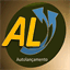 autolancamento.com