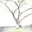 jeditraining.wordpress.com