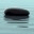 hollandhypnotherapy.com