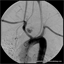 appliedinterventionalradiology.com