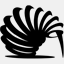 bold-kiwi.com