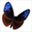 hcsprojects.net