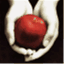 twilightfandom.net
