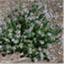 thymepassages.wordpress.com