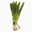 languageonion.wordpress.com