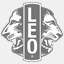 leoclubesantamariadf.com.br