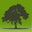 daveinctree.com