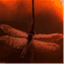 redragonfly.wordpress.com