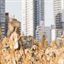 federrup.at