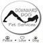 downwarddogatx.com