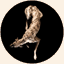 yogalgoproductions.com
