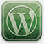 wp-system.ru