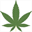 suppliesformarijuana.com