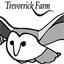 trevorrick.com