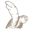 loggerheadgroup.com