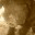 labradoodlebreeders.wordpress.com