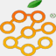 citrusgenesis.com