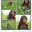 windinheaven.wordpress.com