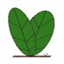 vegetaldeco.over-blog.com