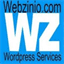 webzinio.com