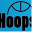 hoopsroundtable.com