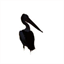 yellowpelican.net