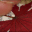 labiblidemomiji.com