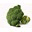 icantgarden.com