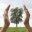 nutrisource.org