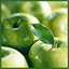 loudou.info