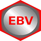 ebv-bleialf.com
