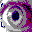 zenjedi.com