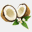 cocohai.com