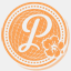 passportbodyworks.com