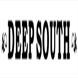 deepsouth.ie