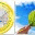 cleanvalley.wordpress.com