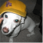 lakermagic.com