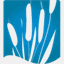 csinge.net