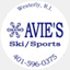 aviesskisport.com