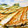 haddonacre.co.uk