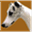 andauerwhippets.tripod.com