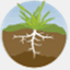 soiltechnologies.com